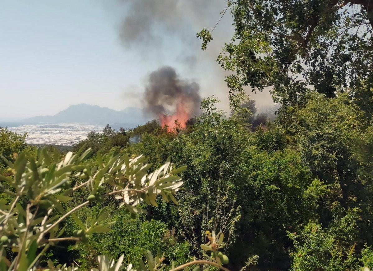 Kaş'ta orman yangını çıktı