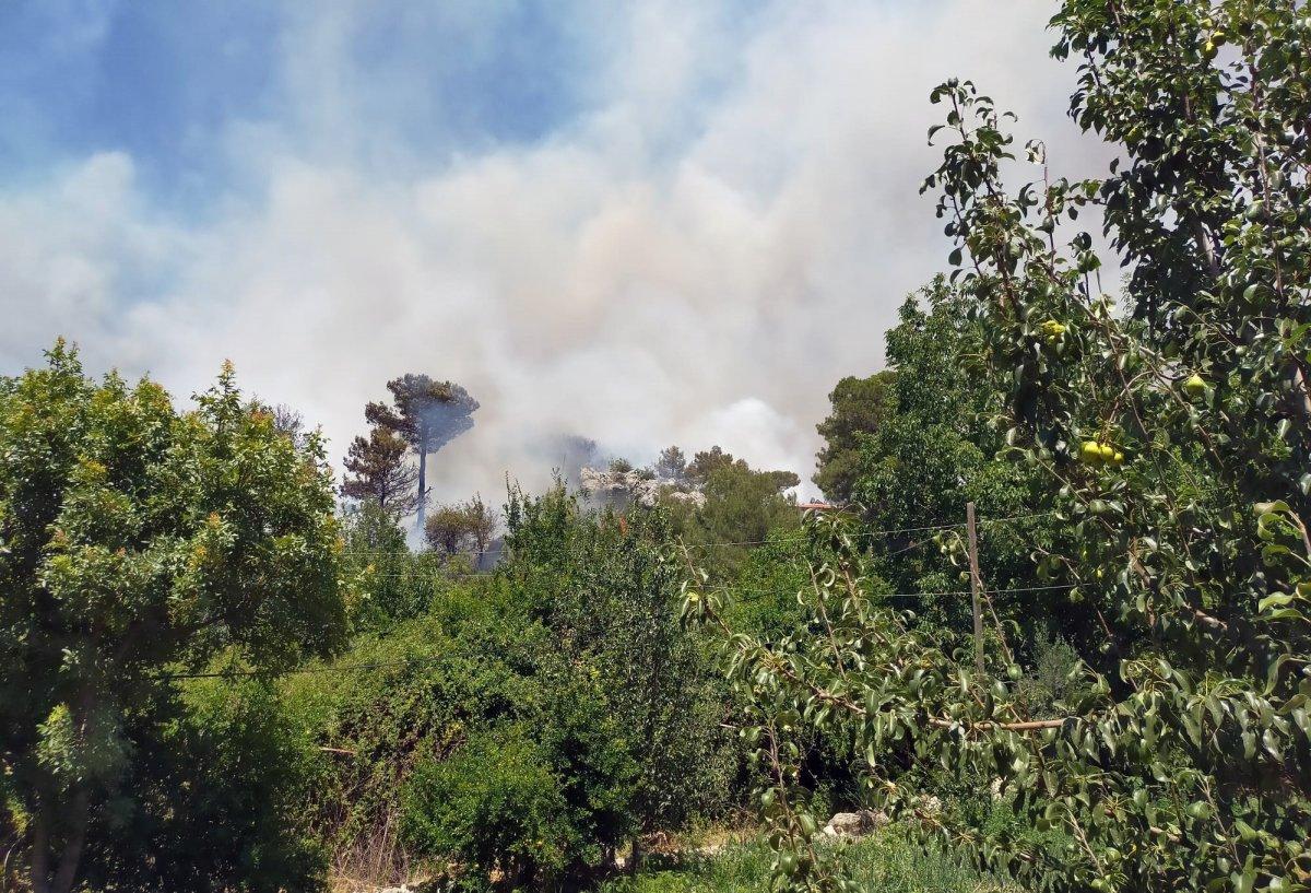 Kaş'ta orman yangını çıktı