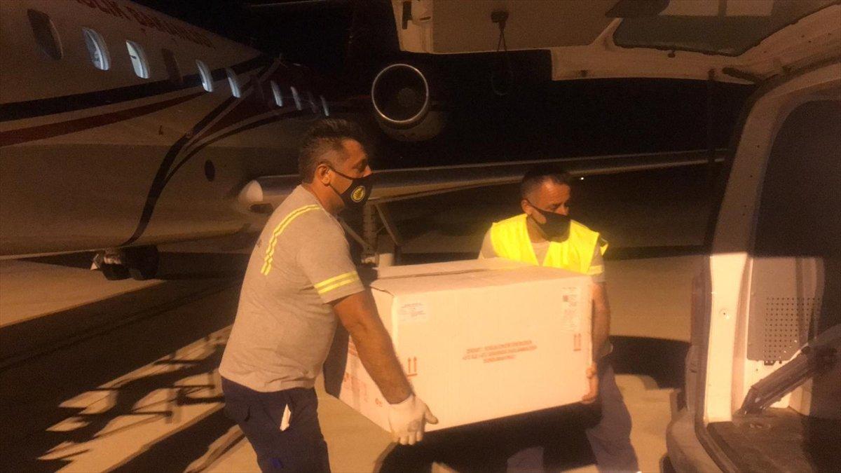 Türkiye'den KKTC'ye 50 bin doz daha aşı gönderildi