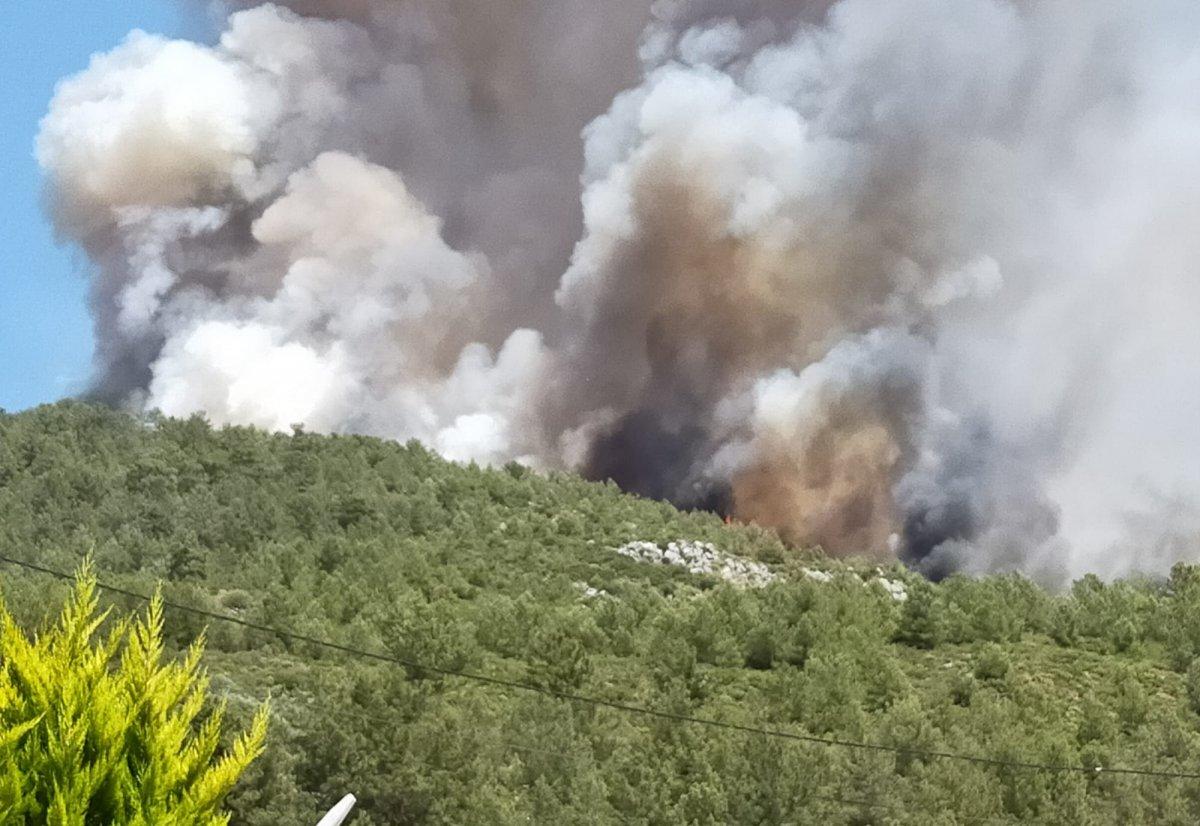 Kaş'ta orman yangını çıktı