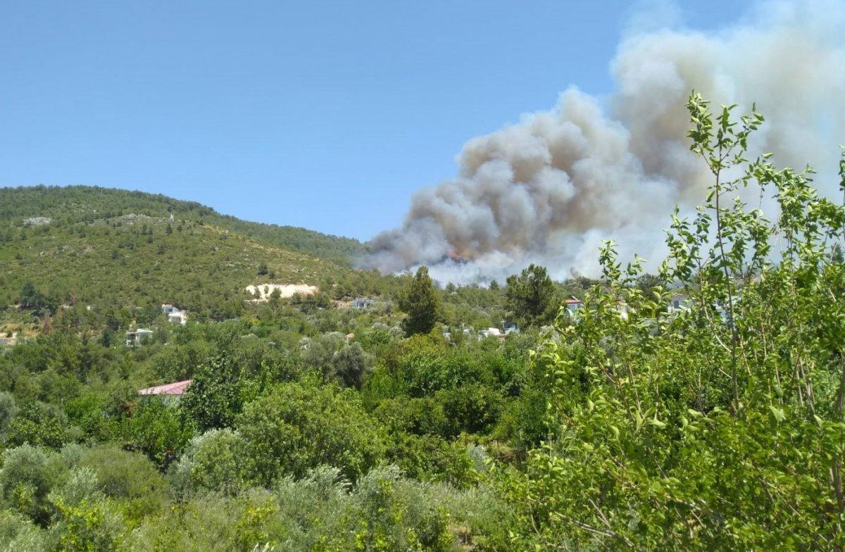 Kaş'ta orman yangını çıktı