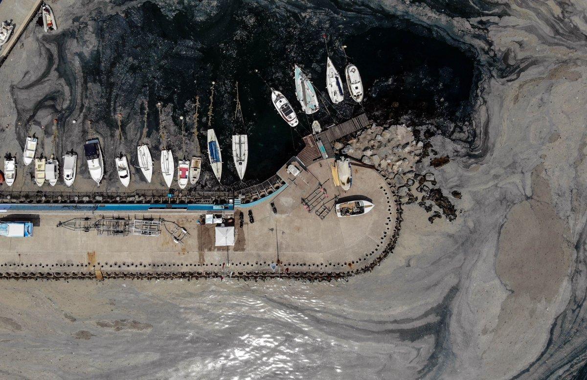 İstanbul'daki deniz salyası havadan görüntülendi