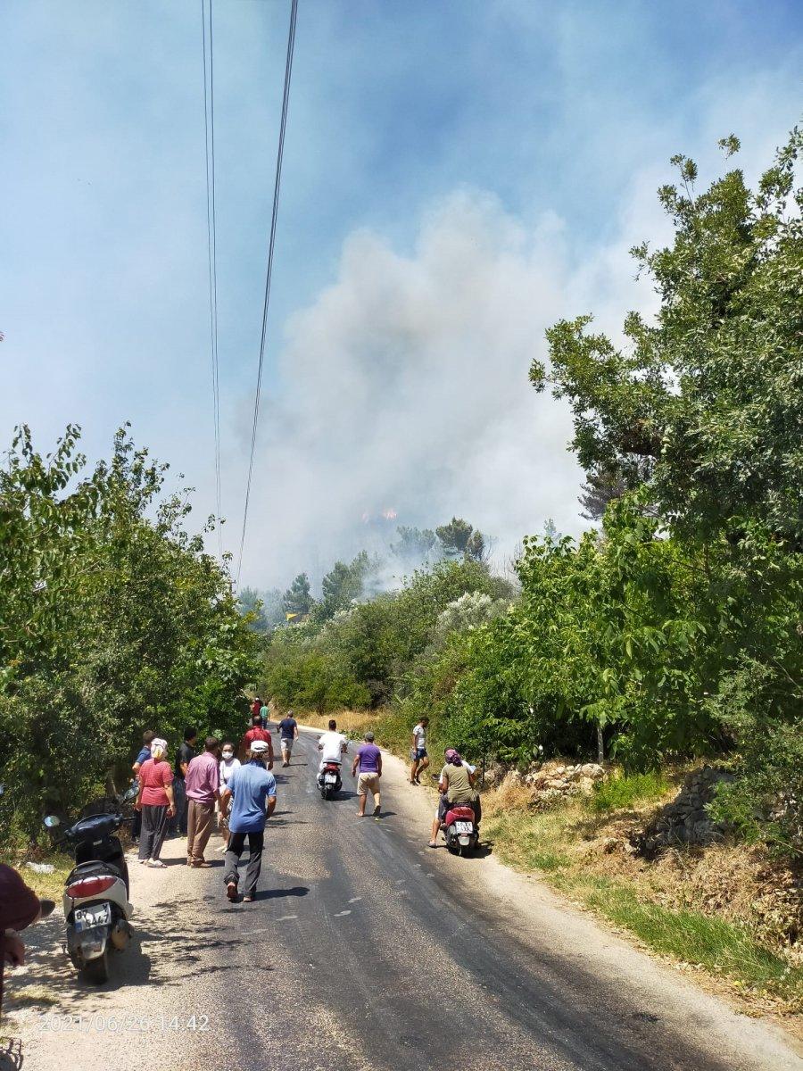 Kaş'ta orman yangını çıktı
