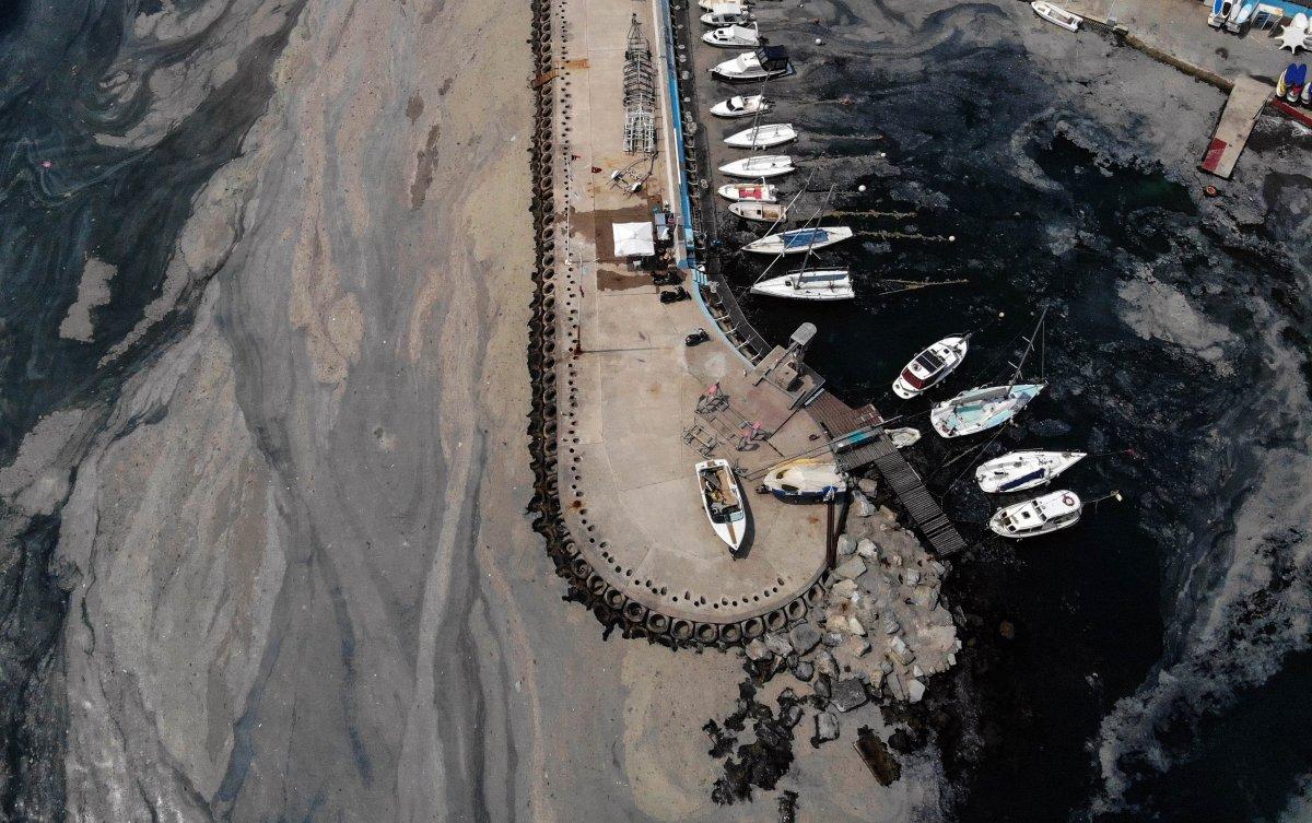 İstanbul'daki deniz salyası havadan görüntülendi