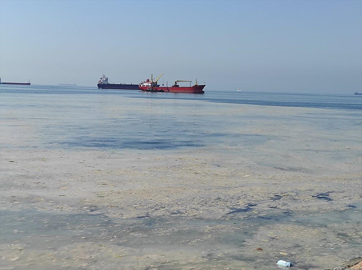 İstanbul'da müsilaj yoğunluğu azalıyor