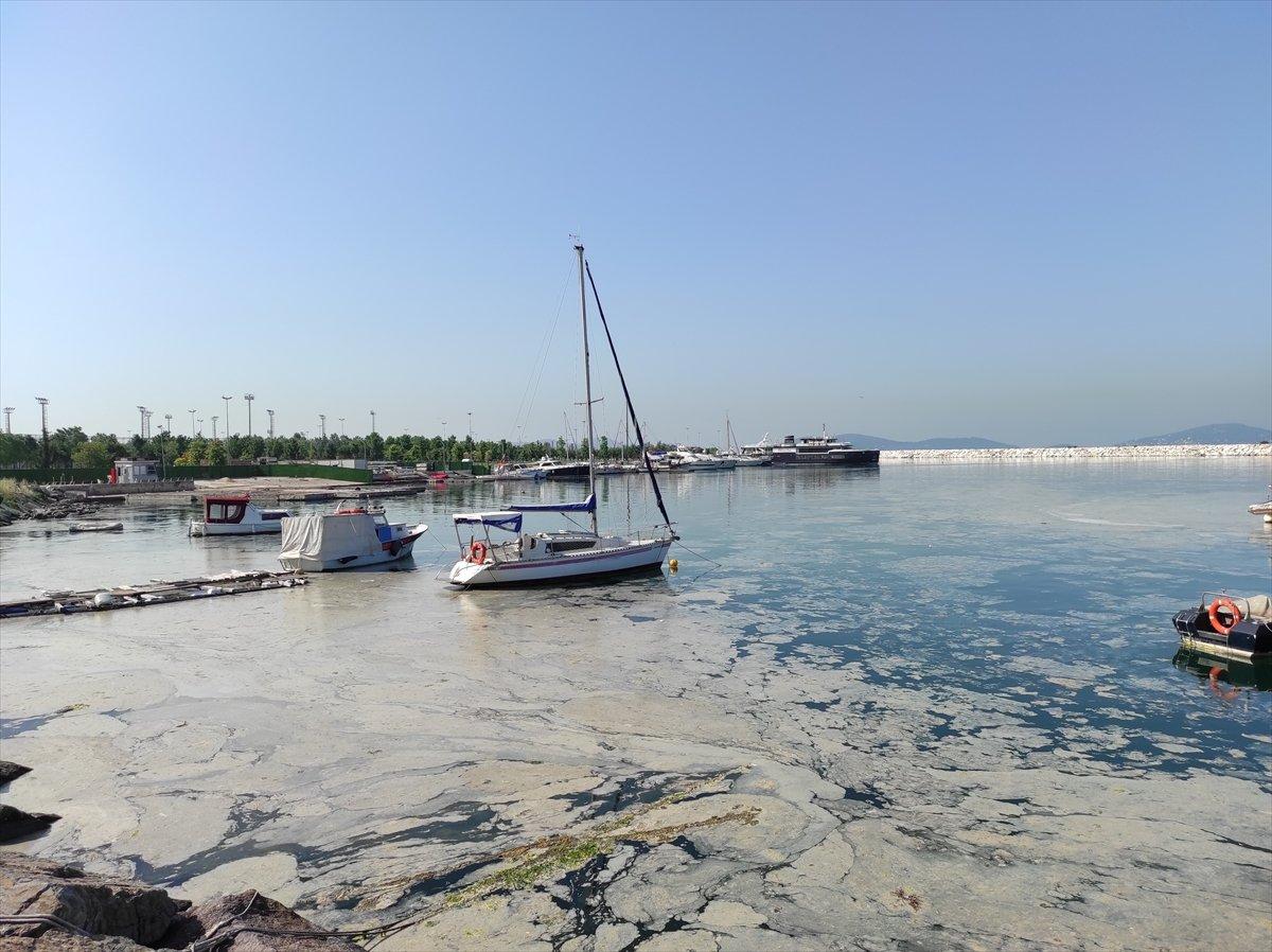 İstanbul'da müsilaj yoğunluğu azalıyor