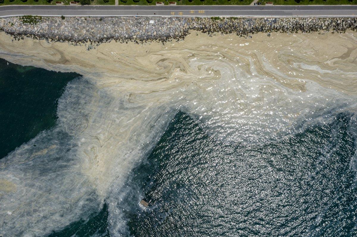 İstanbul'da müsilaj yoğunluğu azalıyor