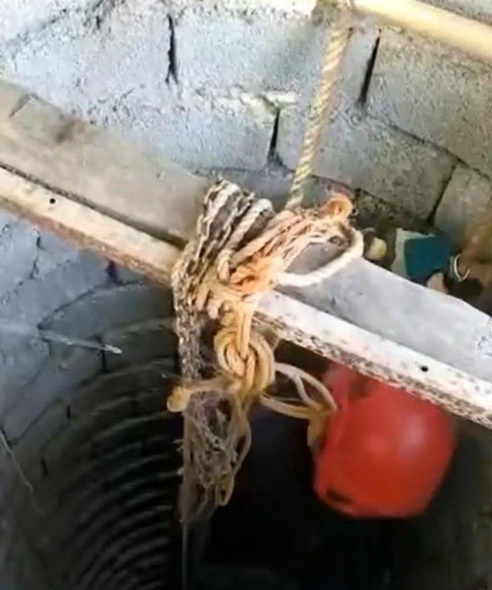 Elazığ'da kuyuya düşen yavru kedi kurtarıldı