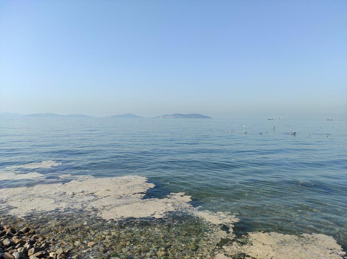 İstanbul'da müsilaj yoğunluğu azalıyor