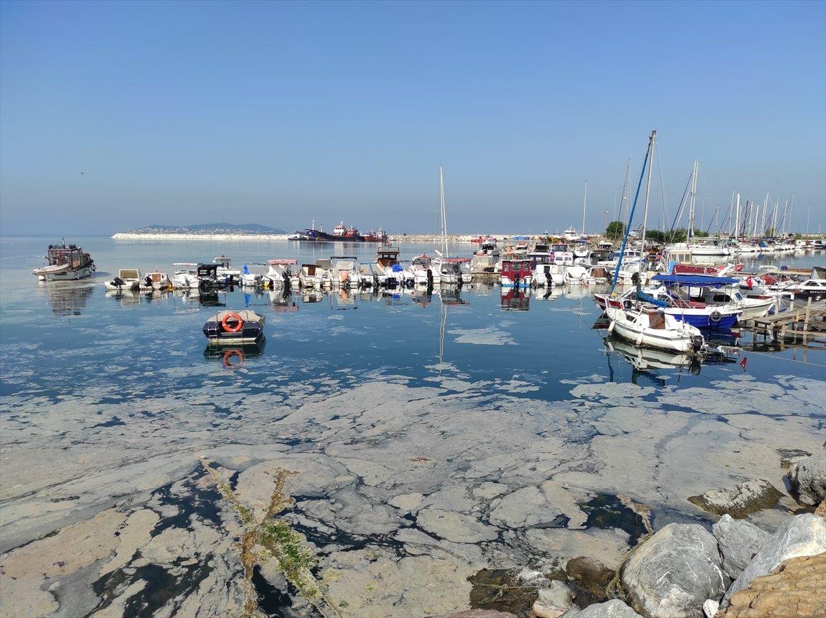 İstanbul'da müsilaj yoğunluğu azalıyor