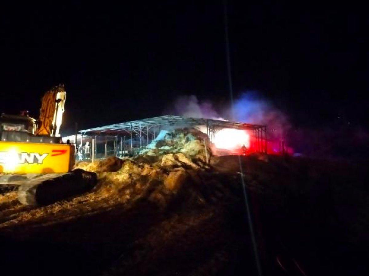 Denizli'de besihanede yangın çıktı: 22 büyükbaş hayvan telef oldu