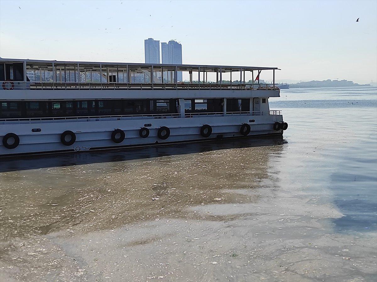 İstanbul'da müsilaj yoğunluğu azalıyor