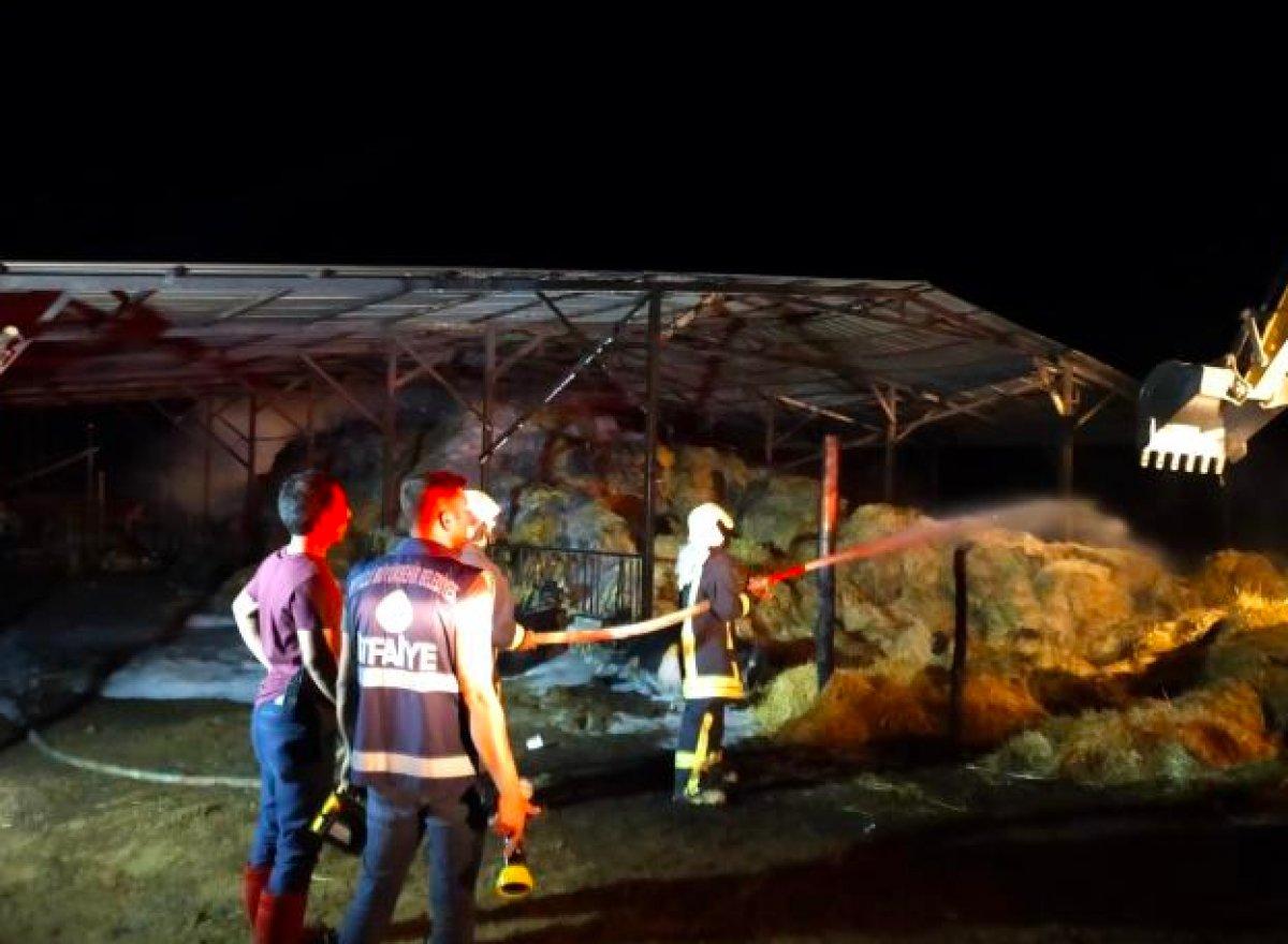 Denizli'de besihanede yangın çıktı: 22 büyükbaş hayvan telef oldu