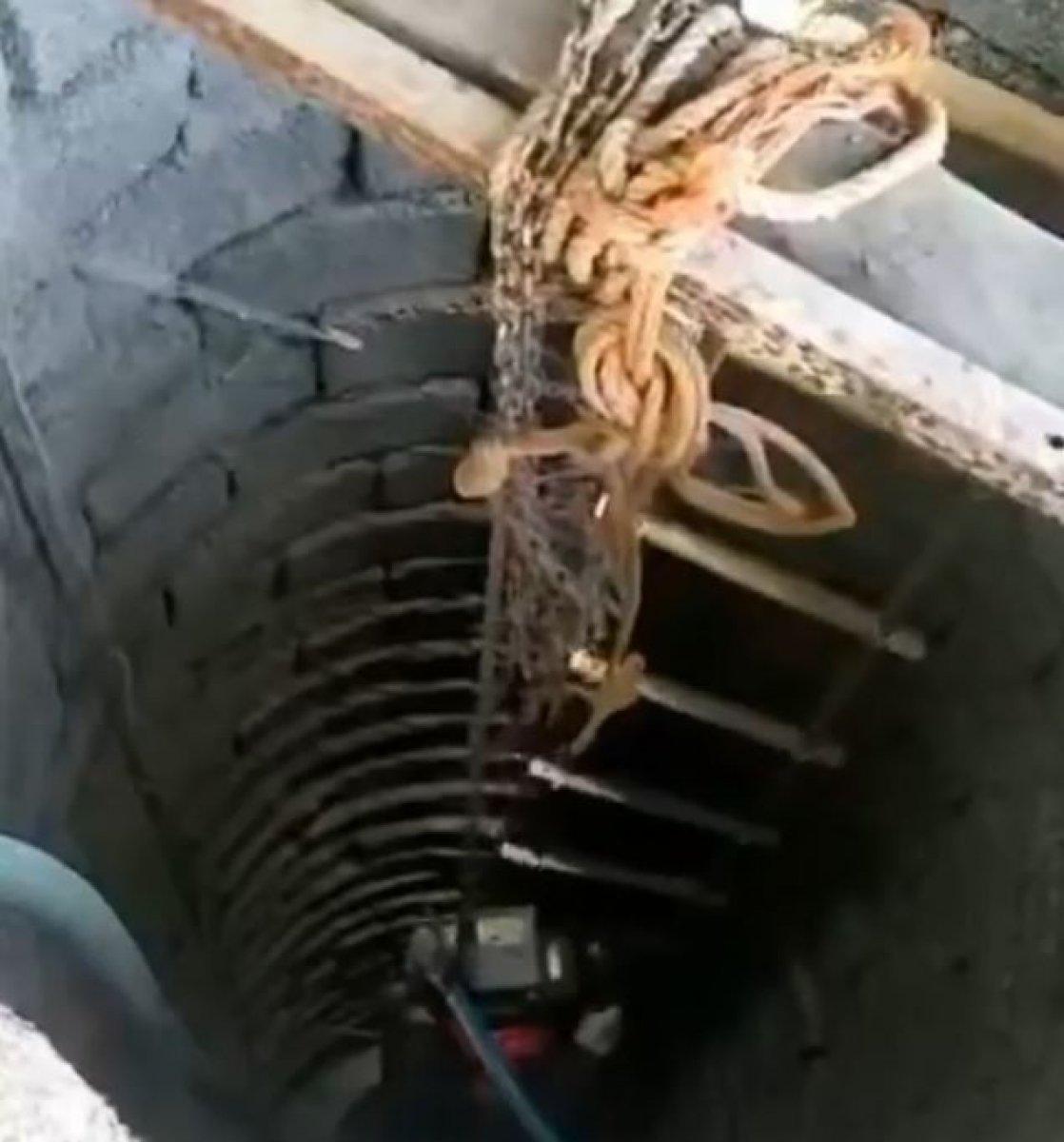 Elazığ'da kuyuya düşen yavru kedi kurtarıldı