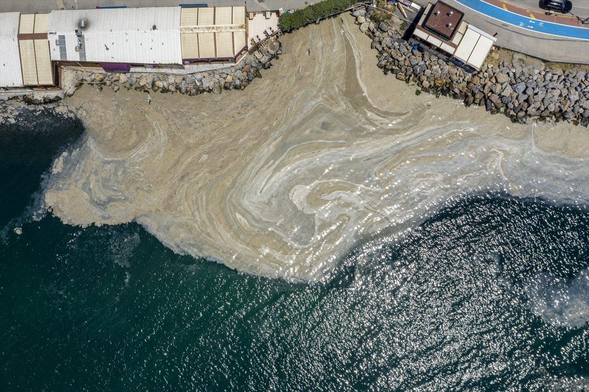 İstanbul'da müsilaj yoğunluğu azalıyor