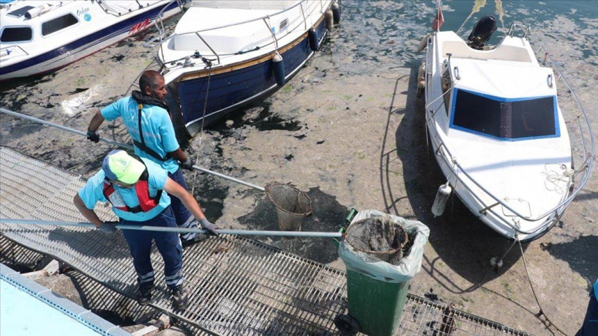 İstanbul'da müsilaj yoğunluğu azalıyor