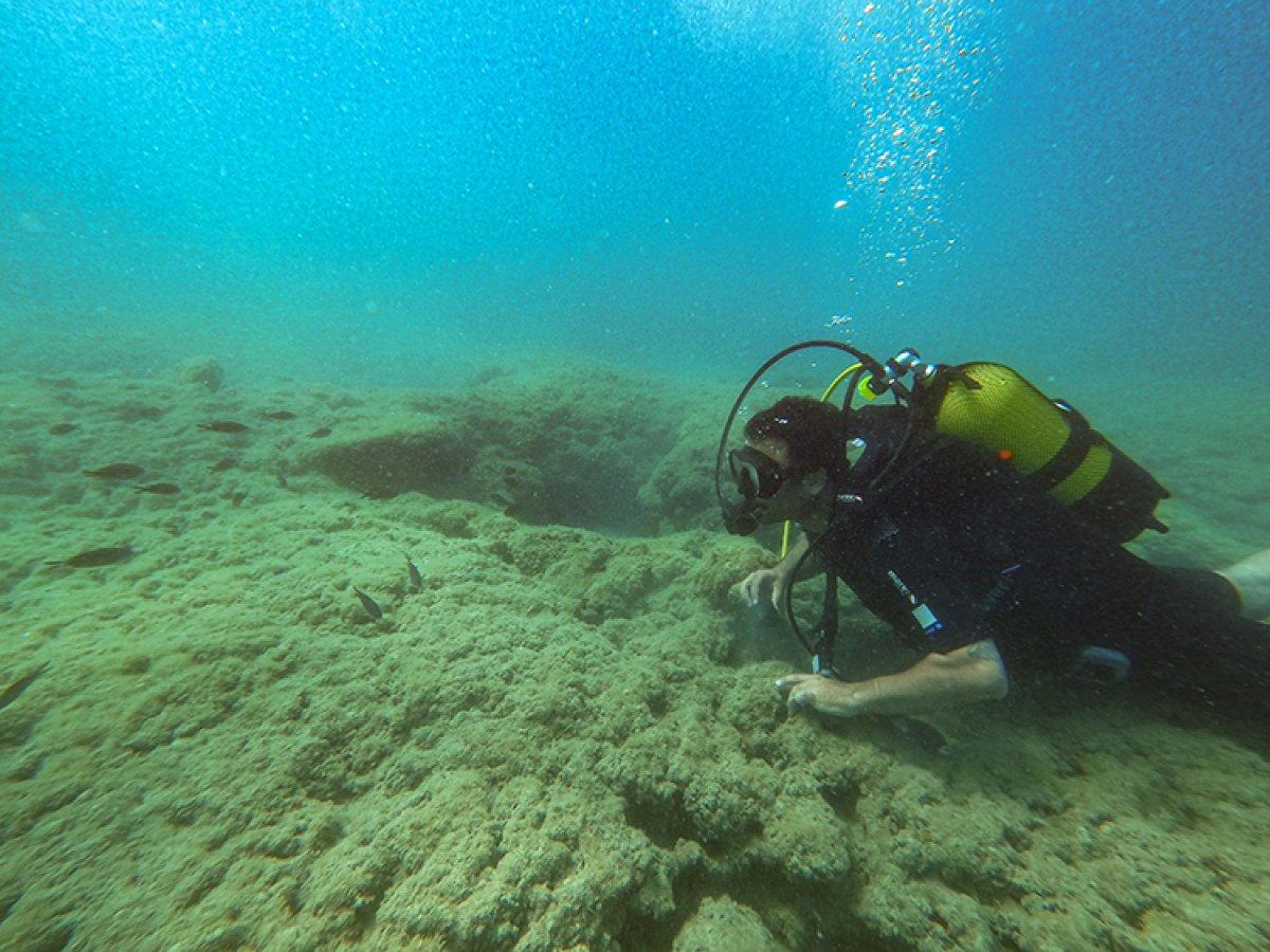 Doğu Akdeniz su altı zenginliğiyle dikkat çekiyor