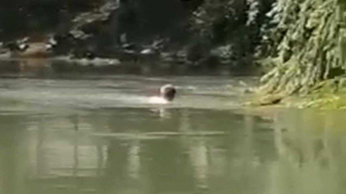 Kırıkkale'de akıntıya kapılan şahıs kurtarıldı