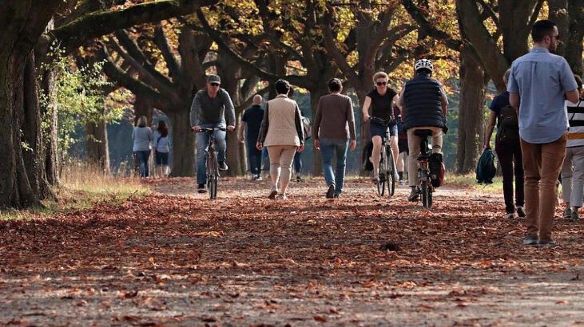 Yürüyüşün 10 inanılmaz faydası