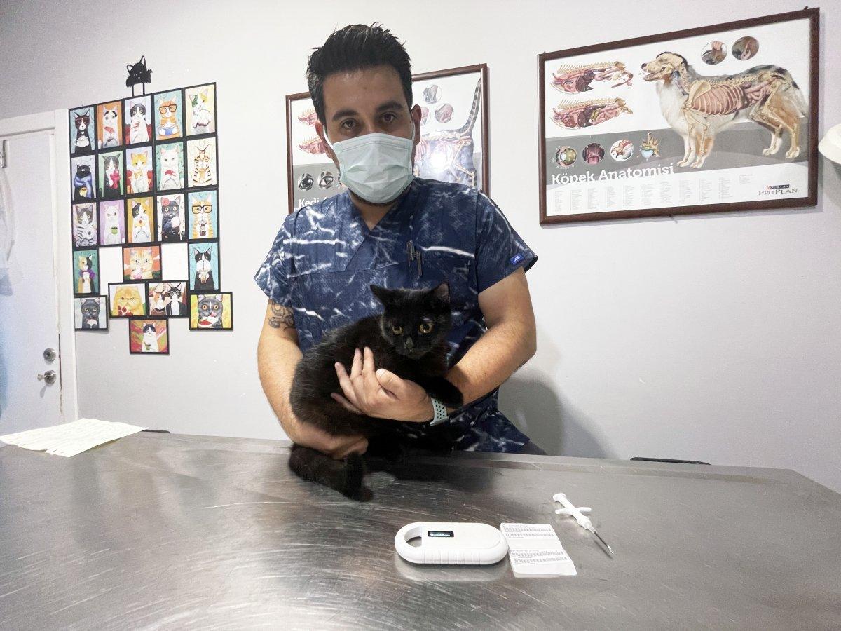 Evcil hayvanlara mikroçip takılmaya başlandı