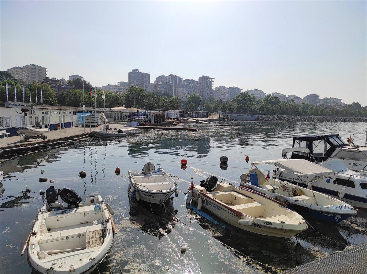 İstanbul'da müsilaj yoğunluğu azalıyor