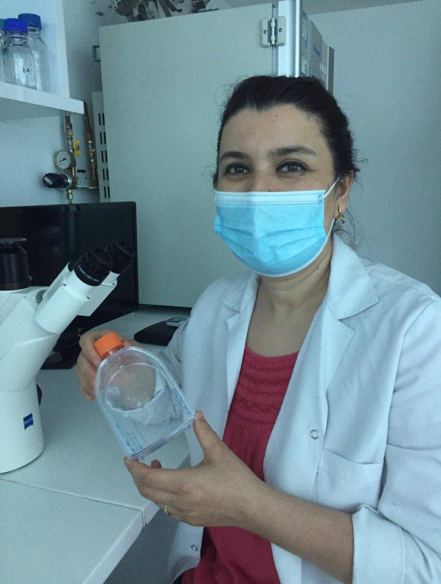 Kadın doktora taciz içerikli paylaşıma 5 yıla kadar hapis istemi