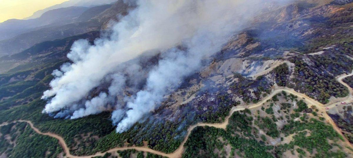 Bingöl'de 3 gündür süren orman yangınına müdahale devam ediyor