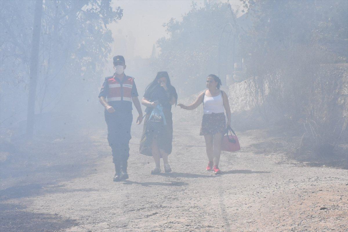 Muğla'da ormanlık alanda yangın