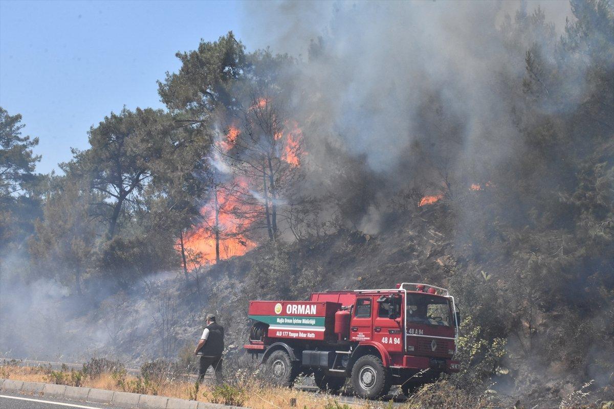 Muğla'da ormanlık alanda yangın