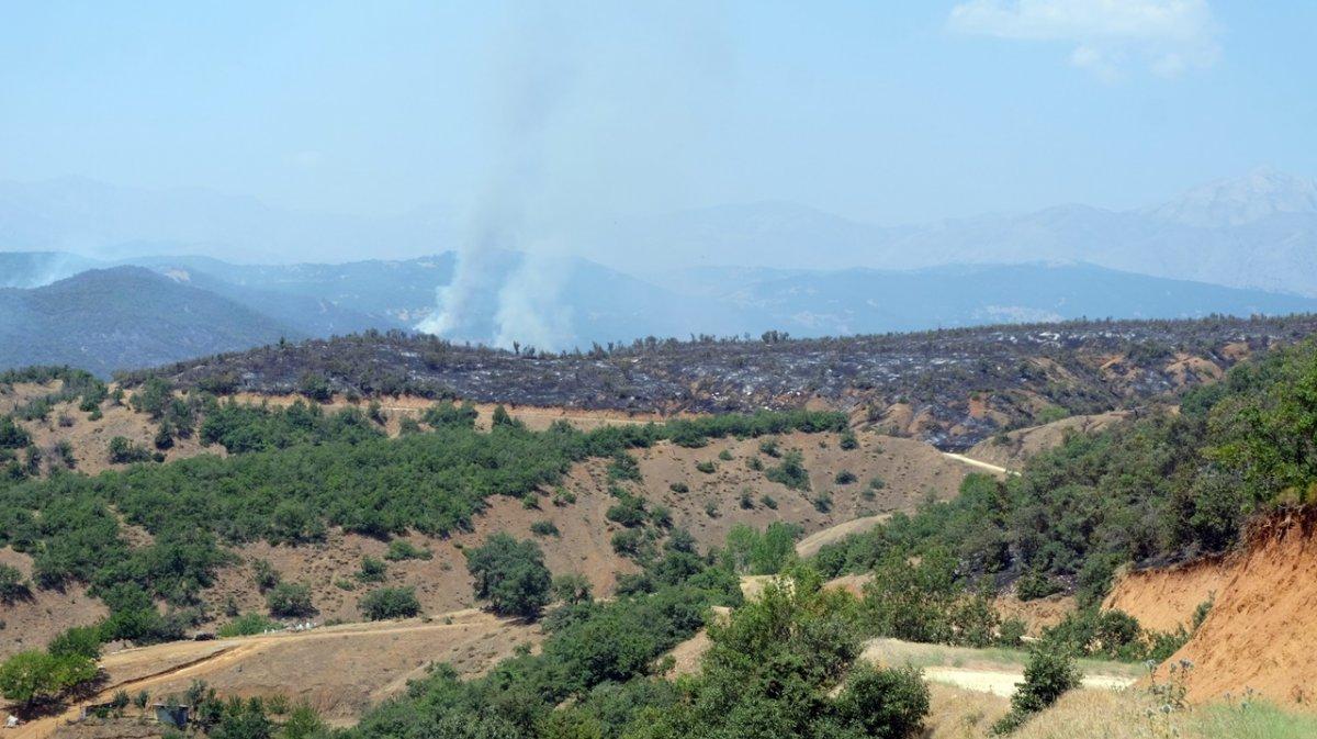 Bingöl'de 3 gündür süren orman yangınına müdahale devam ediyor
