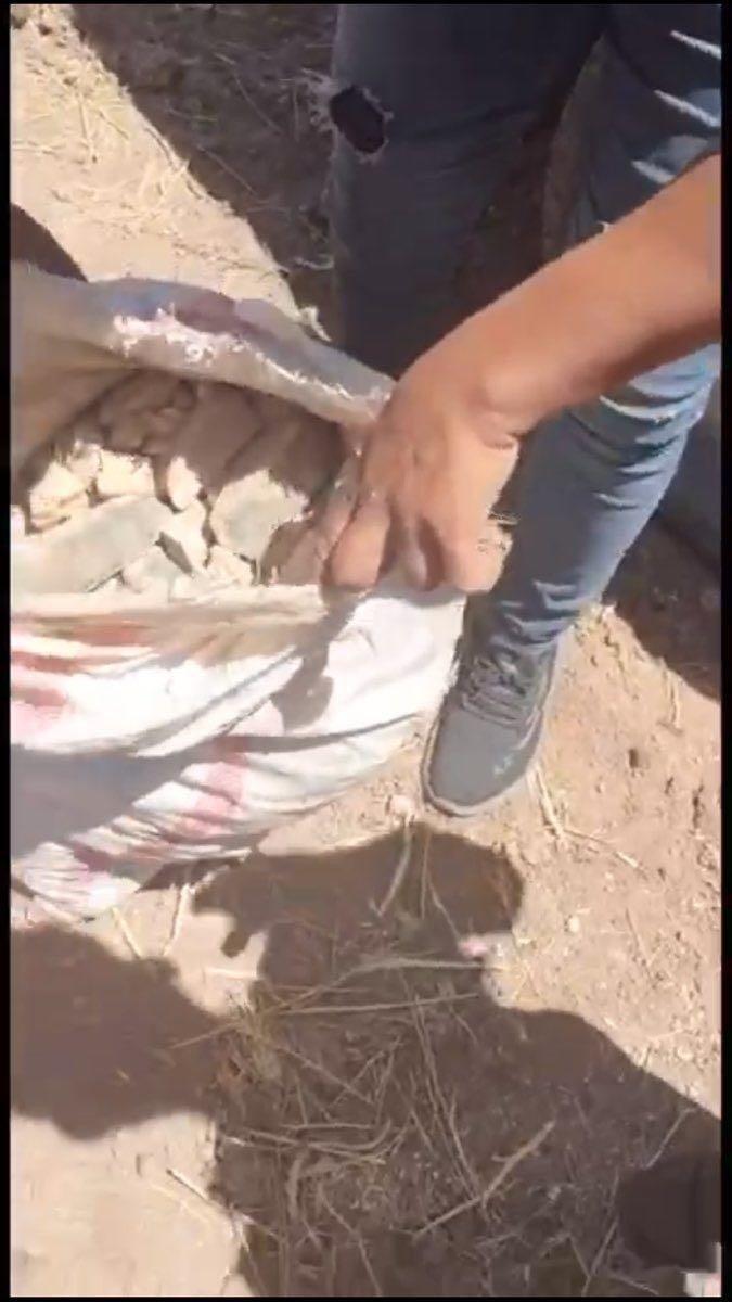 Saldırı hazırlığındaki DEAŞ'lı, MİT istihbaratıyla Halep'te yakalandı