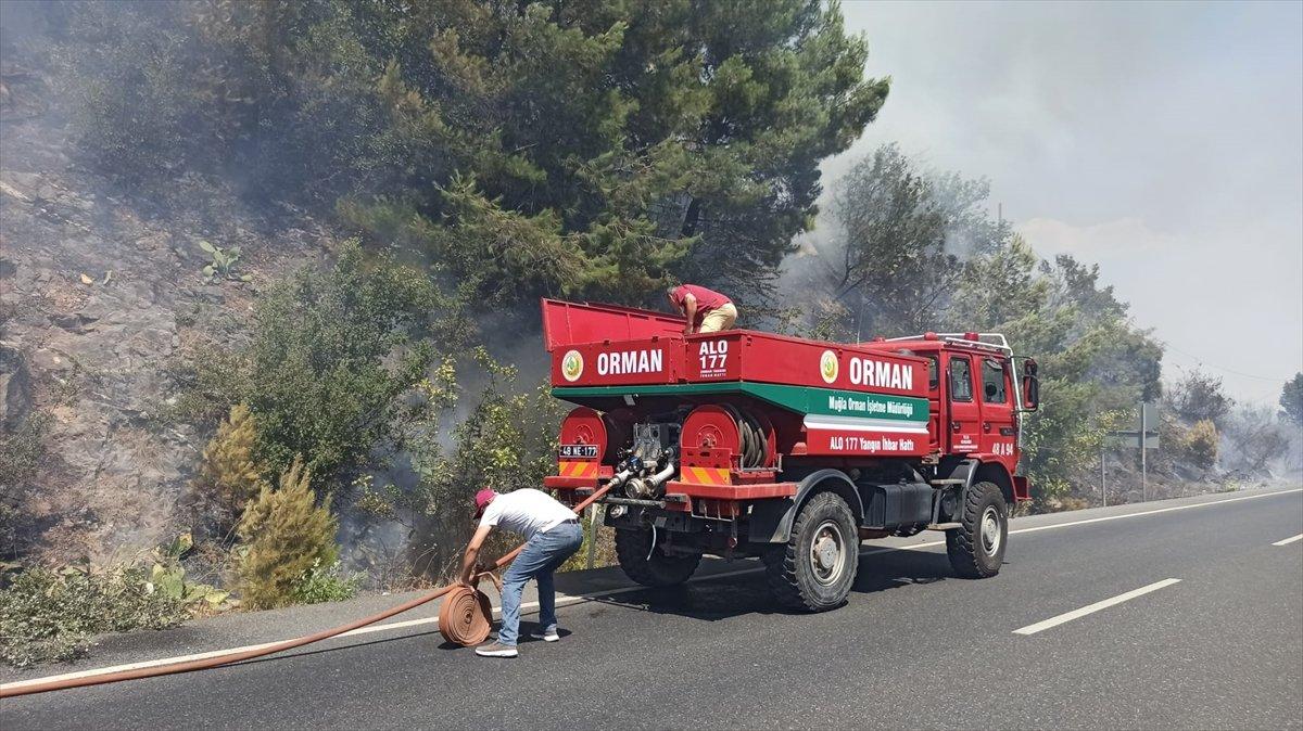 Muğla'da ormanlık alanda yangın