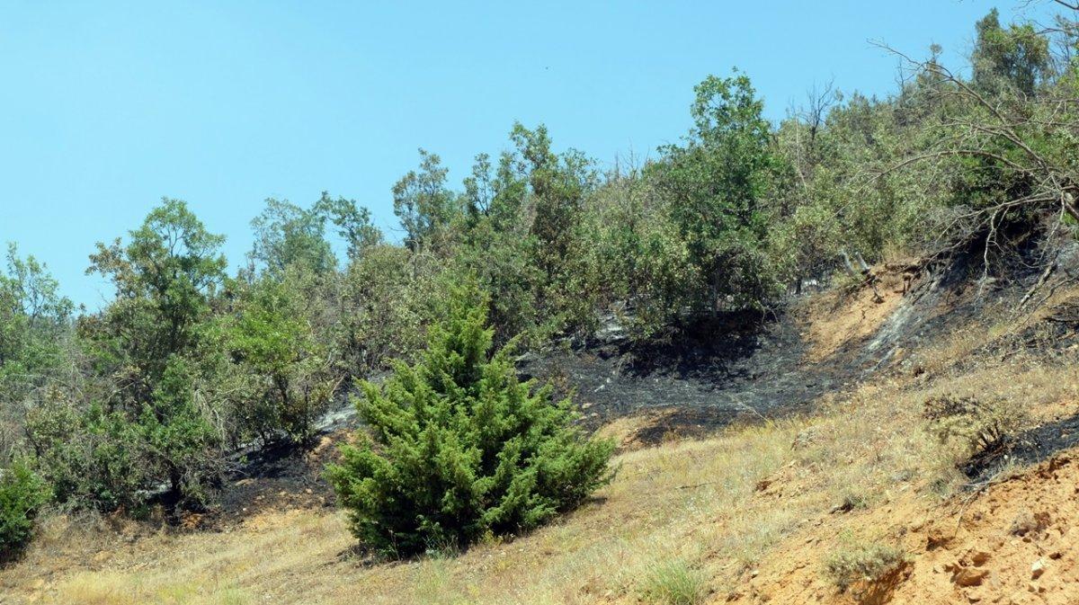 Bingöl'de 3 gündür süren orman yangınına müdahale devam ediyor