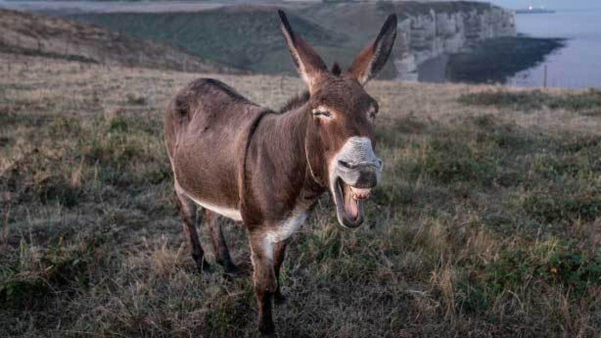 Doğru bilinen, yanlış atasözleri ve deyimler