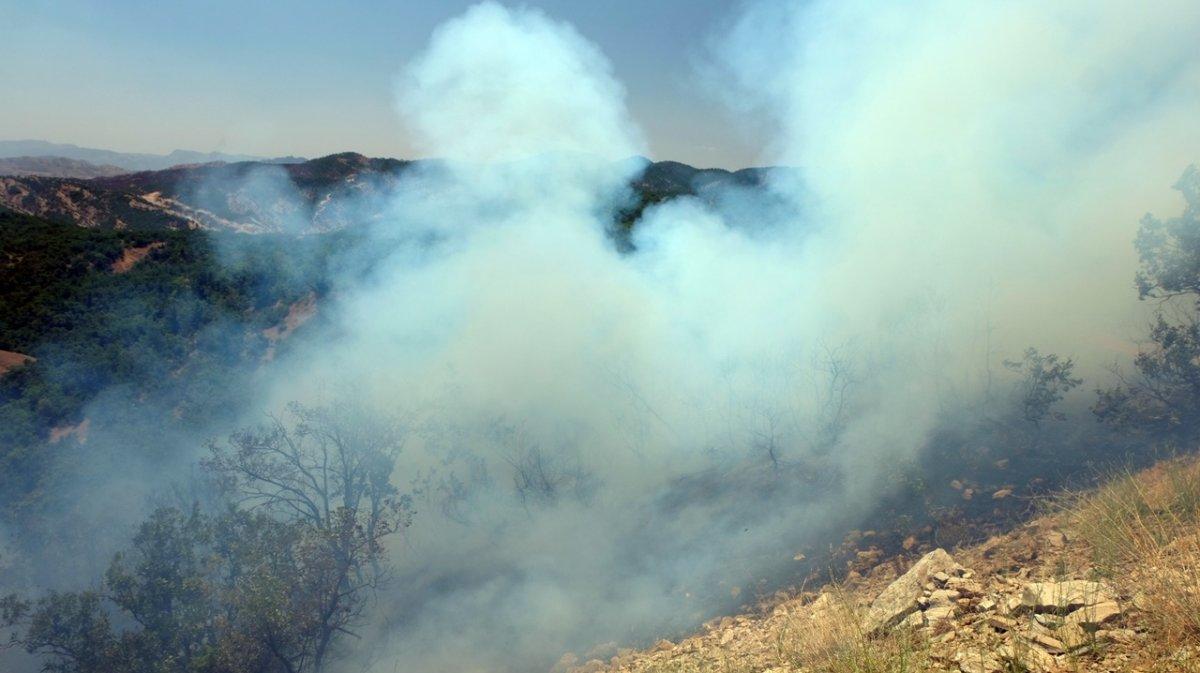 Bingöl'de 3 gündür süren orman yangınına müdahale devam ediyor