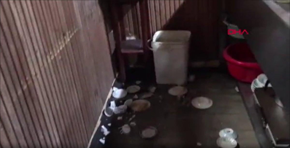 Trabzon’da alabalık tesisinin kapısını kıramayan ayı, pencereden girdi