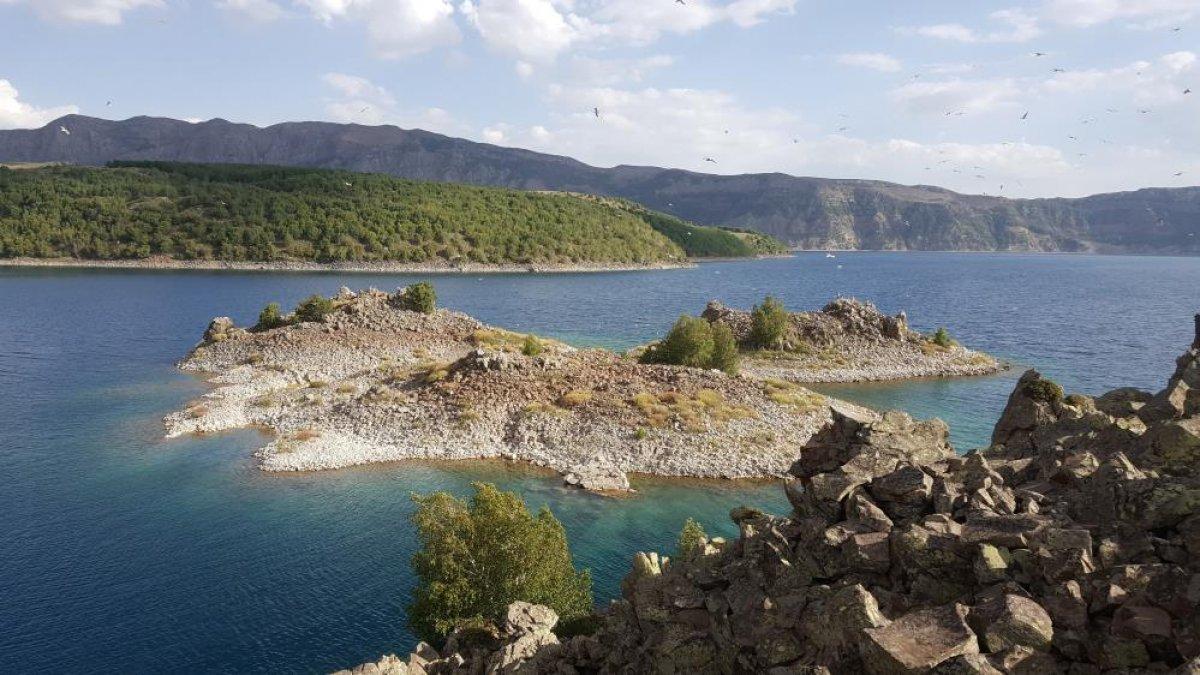 Nemrut Krater Gölü çevresinde açan çiçeklerle renklendi