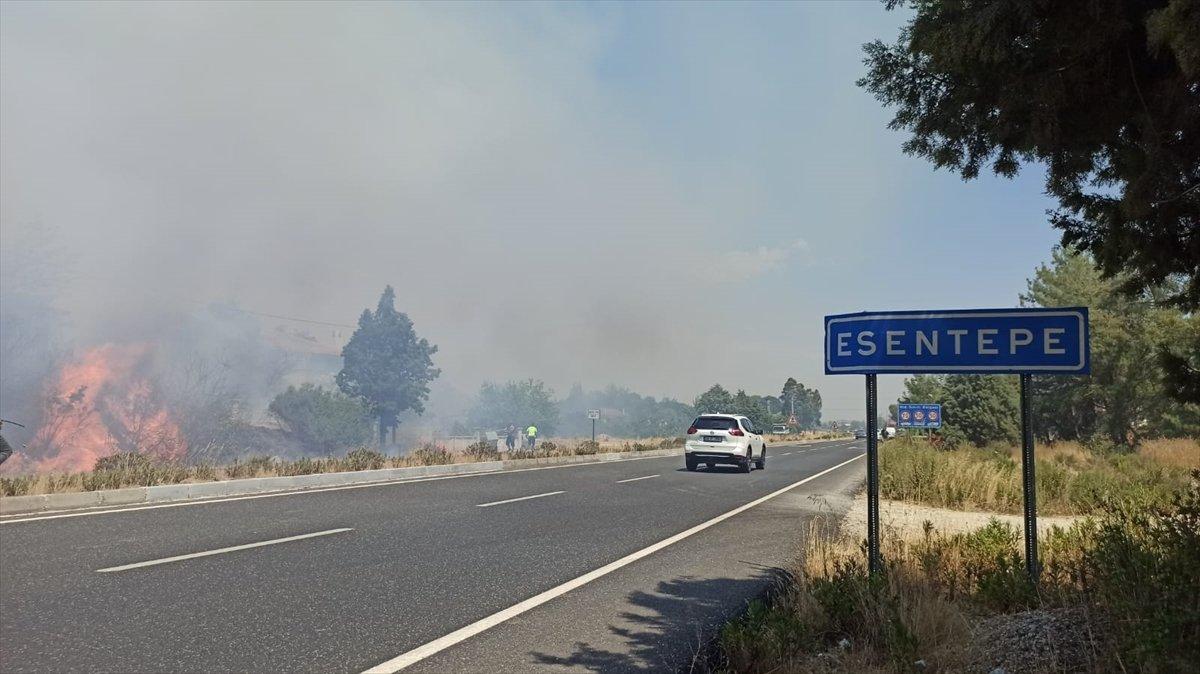 Muğla'da ormanlık alanda yangın