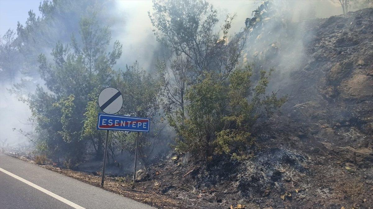 Muğla'da ormanlık alanda yangın