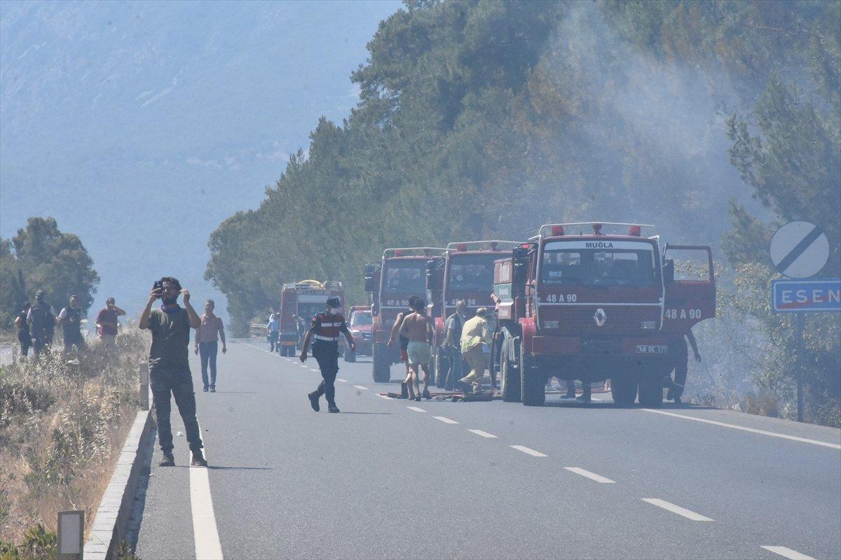 Muğla'da ormanlık alanda yangın