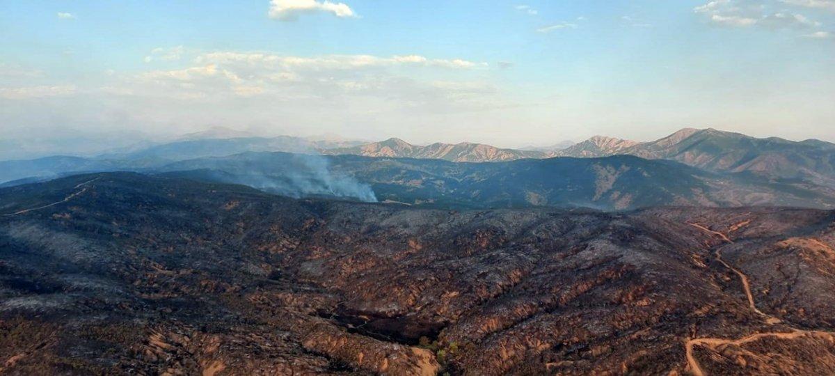 Bingöl'de 3 gündür süren orman yangınına müdahale devam ediyor