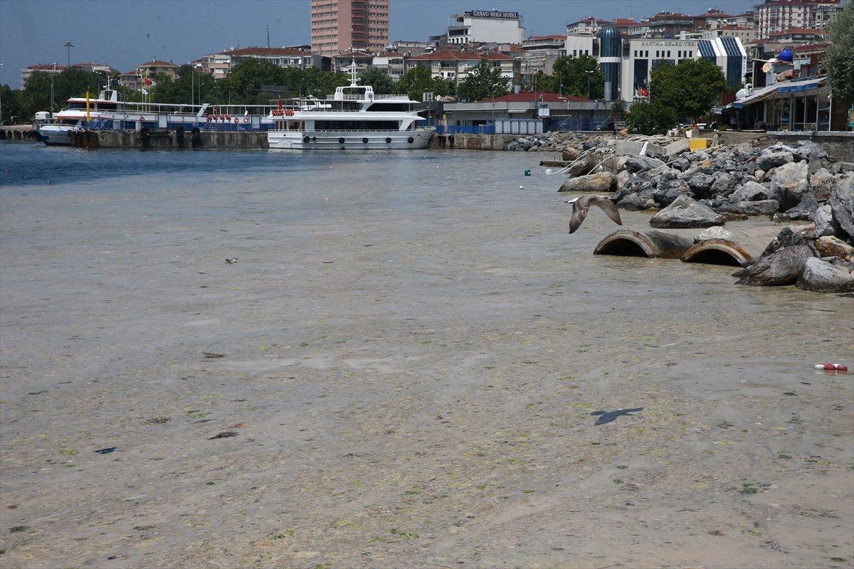 Marmara’da toplanan müsilaj miktarı 7 bin 932 metreküp oldu