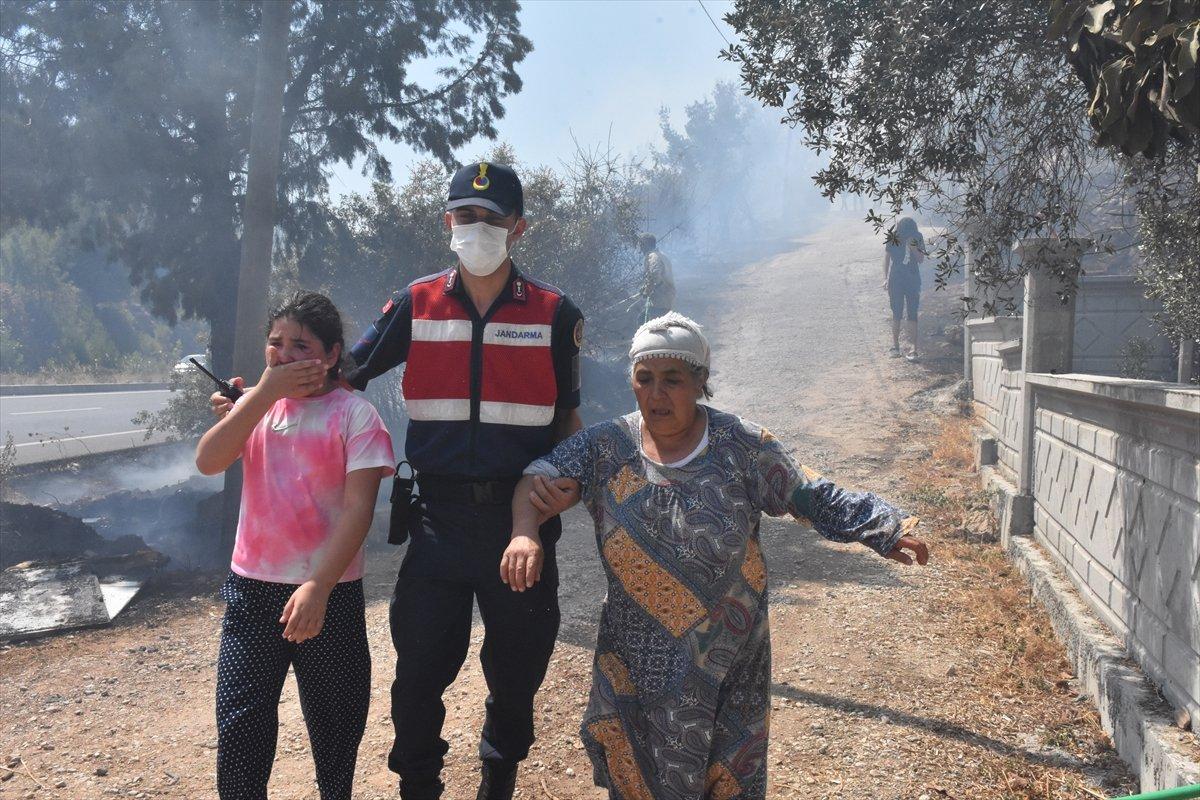 Muğla'da ormanlık alanda yangın