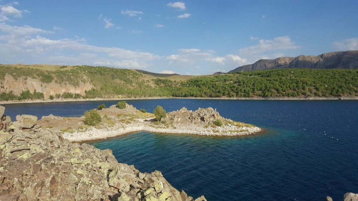 Nemrut Krater Gölü çevresinde açan çiçeklerle renklendi