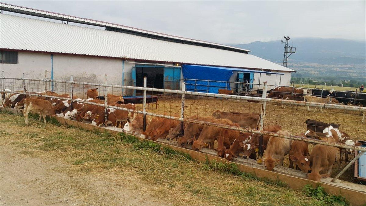 İstanbul'da 90 milyon liralık araba vurgunu