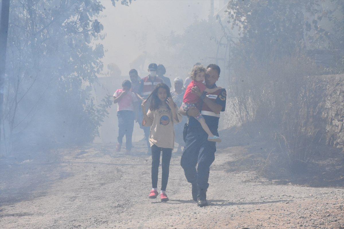 Muğla'da ormanlık alanda yangın