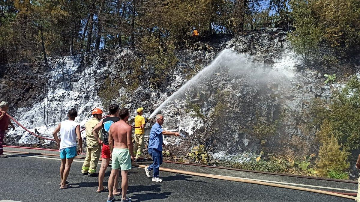 Muğla'da ormanlık alanda yangın
