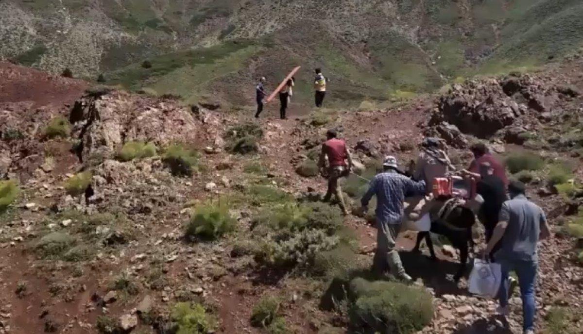 Bingöl’de hastalanan adam, ambulans helikopterine eşek sırtında taşındı