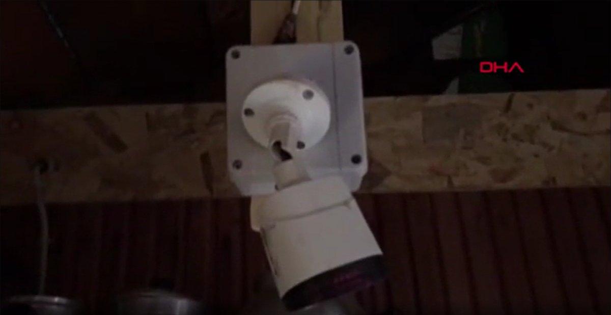 Trabzon’da alabalık tesisinin kapısını kıramayan ayı, pencereden girdi