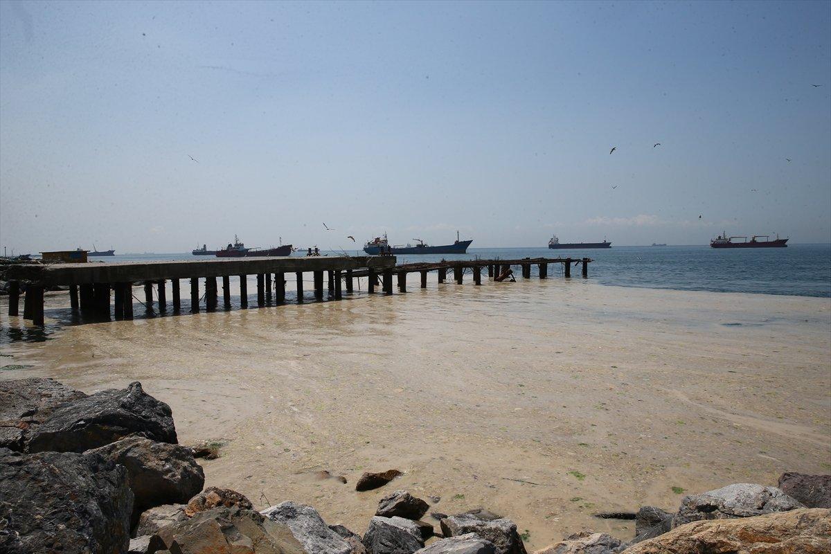 Marmara’da toplanan müsilaj miktarı 7 bin 932 metreküp oldu